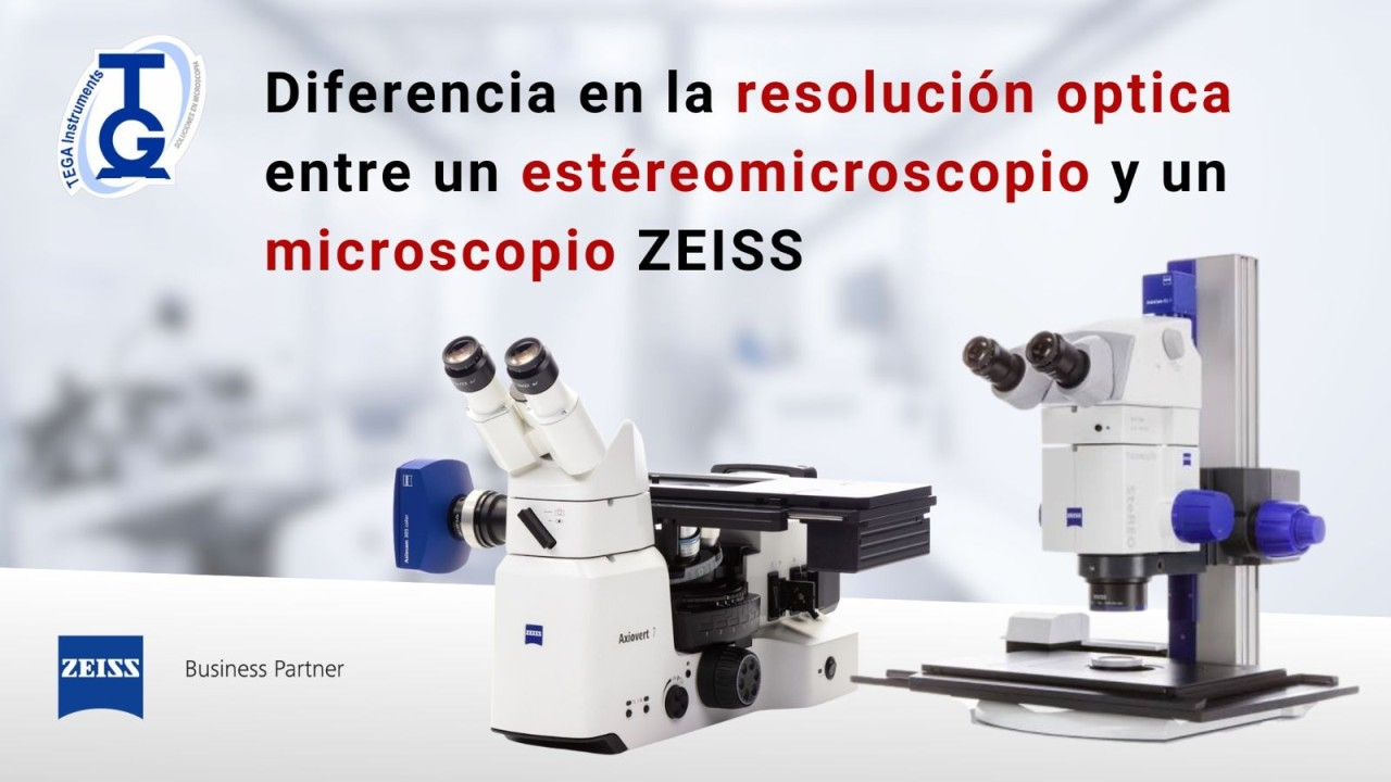 Microscopio vs Estereomicroscopio ZEISS