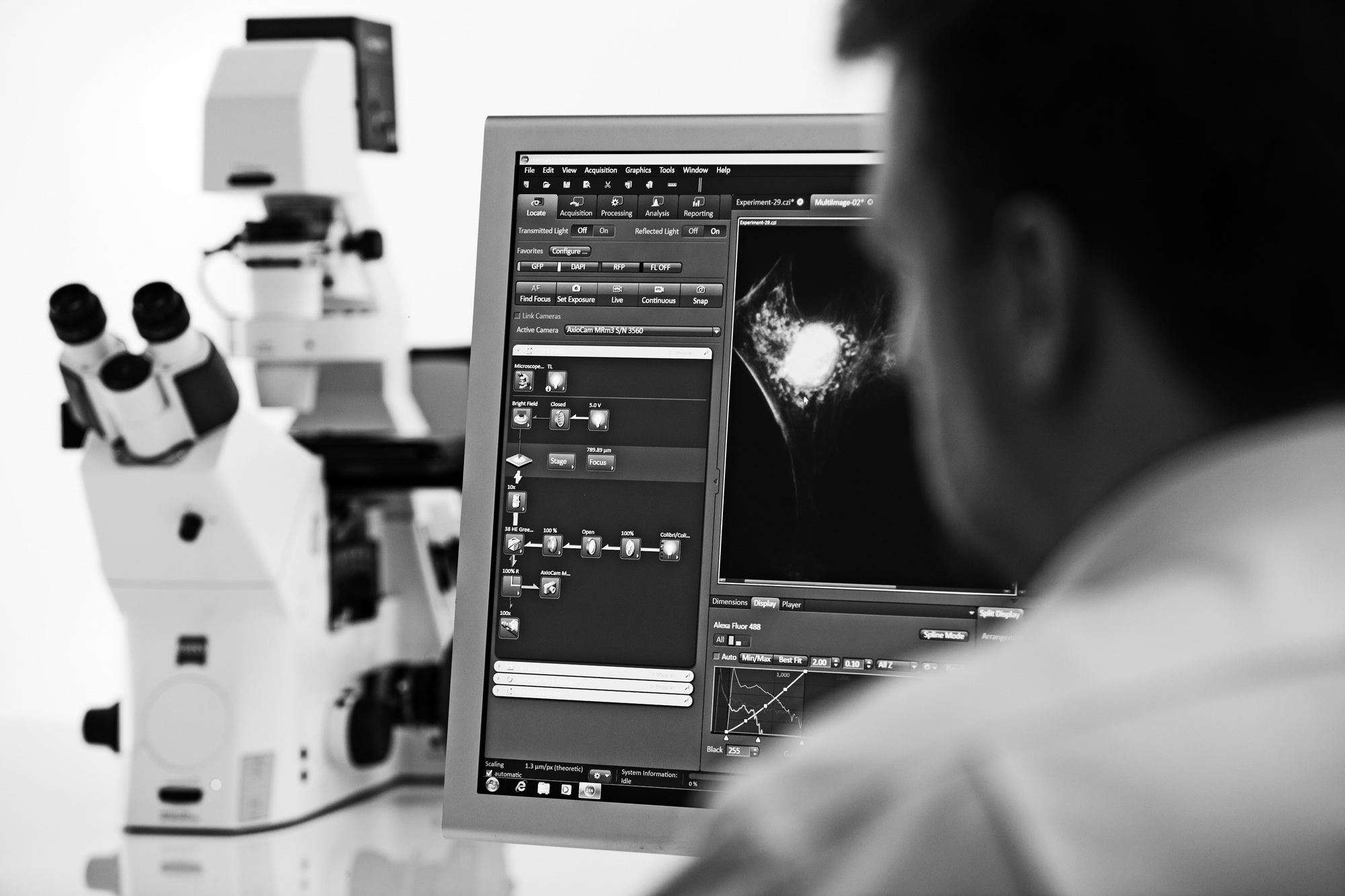 Soluciones en microscopía ZEISS